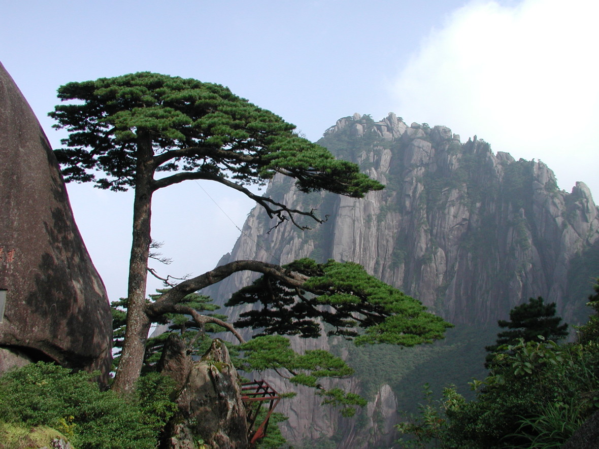 北京江南黄山11天超值游